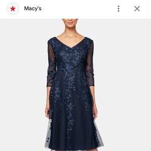 Alex Evening A line dress